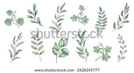 Watercolor set of illustrations. Hand painted green branches with leaves and tendrils. Olive branch. Eucalyptus. Willow. Pumpkin, squash, melon leaves. Botanical elements. Isolated nature clip art