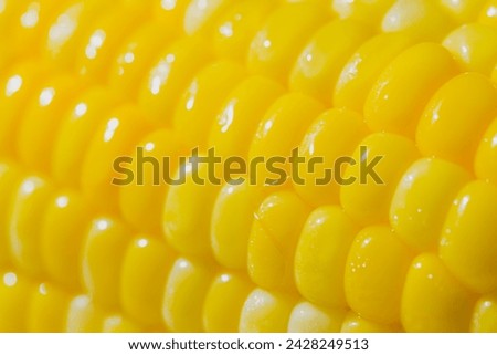 Yellow boiled corn dipped in salt water