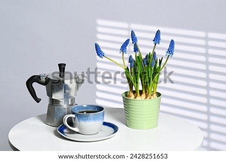Cup of coffee with coffeepot and muscari flowers  Royalty-Free Stock Photo #2428251653