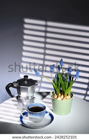 Cup of coffee with coffeepot and muscari flowers  Royalty-Free Stock Photo #2428252101