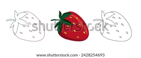 Strawberry summer hand drawn fruit set, colorful, line art. Vector illustration icon for logo, card, coloring book, invitations, sweet food clip art, isolate on white background.