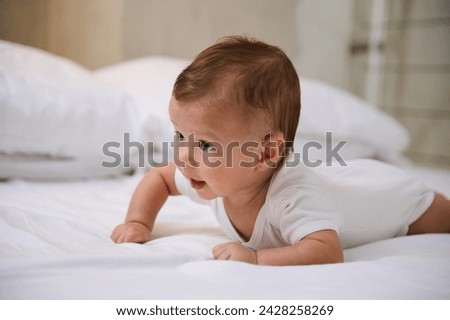 Close-up portrait of Caucasian adorable lovely baby boy in white bodysuit during tummy time on the bed at home interior. Kid development stage and baby growth concept. Childcare. Babyhood. Infancy Royalty-Free Stock Photo #2428258269