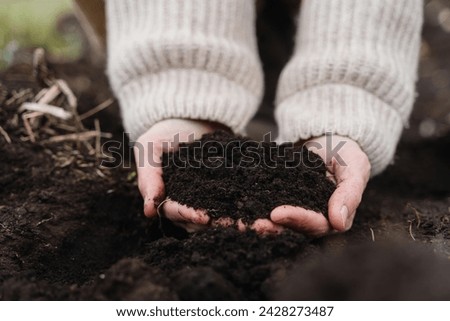 Hands of farmer showing black soil in agricultural field. Farmer holding in hands fresh fertile soil before sowing. Concept of Earth Day, Agricultural business, Farming, Ecology, Sustainability. Royalty-Free Stock Photo #2428273487