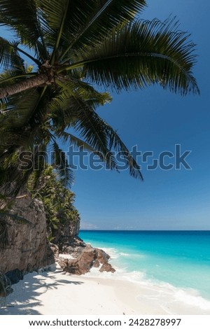 Anse macquereau, fregate island, seychelles, indian ocean, africa Royalty-Free Stock Photo #2428278997
