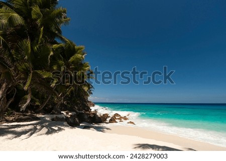 Fregate island, seychelles, indian ocean, africa Royalty-Free Stock Photo #2428279003