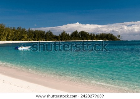 Denis island, seychelles, indian ocean, africa