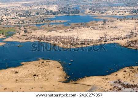 Aerial view of okavango delta, botswana, africa