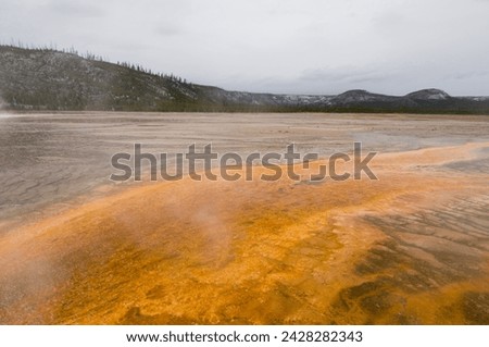 Grand prismatic spring in winter, lower geyser basin, yellowstone national park, unesco world heritage site, wyoming, united states of america, north america