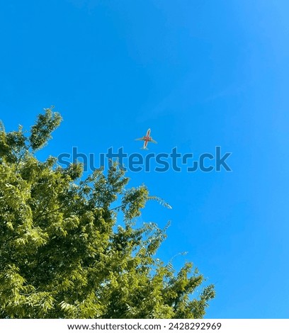 This is a picture of an airplane flying in the clear sky without any clouds. A green tree and an orange airplane go well with the blue sky.