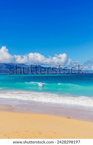 Body boarder, baldwin beach, maui island, hawaii, united states of america, north america