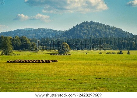 Bieszczady mountains landscape, forest hills, bales of hay, hay meadow. Beinowa, close to the border with Ukraine, Subcarpathian Voivodeship, south-eastern Poland. Late summer, golden hour.