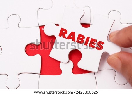 RABIES word alphabet letters on puzzle as a background