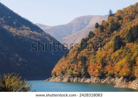 Reservoir surrounded by mountains with autumn coloured trees, nagano prefecture, honshu island, japan, asia