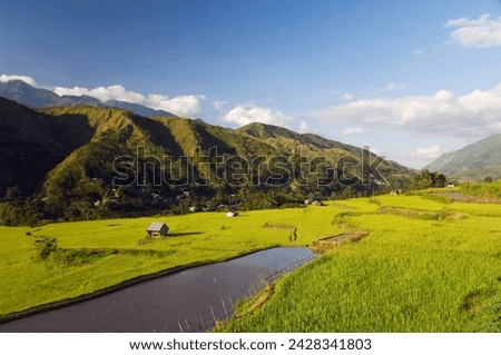 Rice terraces in luplula village, tinglayan town, the cordillera mountains, kalinga province, luzon island, philippines, southeast asia, asia