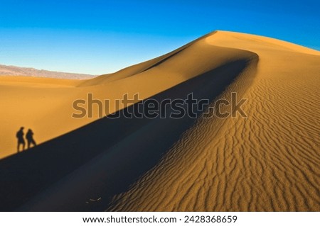 Shadows of two people walking up the dunes of the Mesquite Flats sand dunes, Grapevine Mountains of the Amargosa range behind, Stovepipe Wells, Death Valley National Park, California, USA Royalty-Free Stock Photo #2428368659