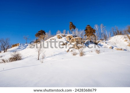 Winter landscape of mountainous area, slope covered with snow, spring weather, lonely pine trees growing on the mountain. High quality photo