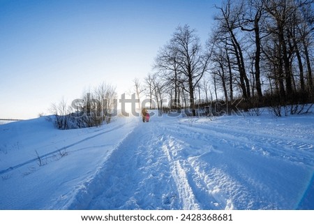 Winter path uphill, people climbing to the top of the mountain, beautiful sun shining through the forest, winter landscape. High quality photo