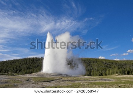 Old faithful geyser erupting, upper geyser basin, yellowstone national park, unesco world heritage site, wyoming, united states of america, north america Royalty-Free Stock Photo #2428368947