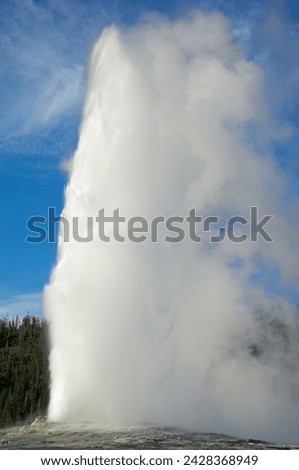 Old faithful geyser erupting, upper geyser basin, yellowstone national park, unesco world heritage site, wyoming, united states of america, north america Royalty-Free Stock Photo #2428368949