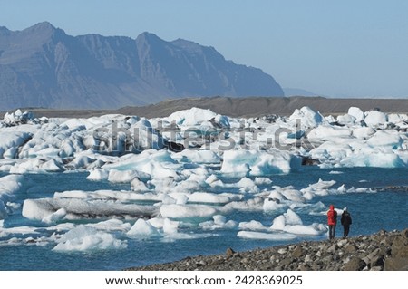 Icebergs in the glacial melt water lagoon at jokulsarlon, breidamerkurjokull, south area, iceland, polar regions