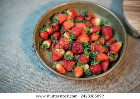 organic strawberry stock photo. organic strawberries picked from the branch