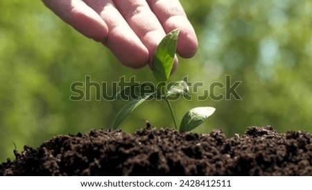 Nurturing Growth and Business Hands Joining Forces for Sustainability, Collaboration, and Environmental Stewardship Royalty-Free Stock Photo #2428412511