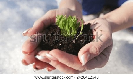 Nurturing Growth and Business Hands Joining Forces for Sustainability, Collaboration, and Environmental Stewardship Royalty-Free Stock Photo #2428412543