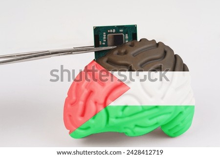 On a white background, a model of the brain with a picture of a flag - Palestine, a microcircuit, a processor, is implanted into it. Close-up
