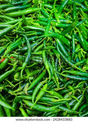 Fresh Green Chili Chili Pepper Vegetable Stock Photo
