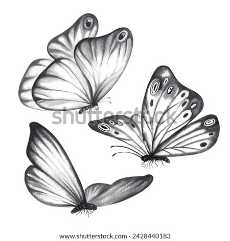 A set of grey flying butterflies. Clip art hand-drawn watercolor illustration. Isolate it. For printing, decoration of postcards, banners, flyers. For home decor, packaging and labels.