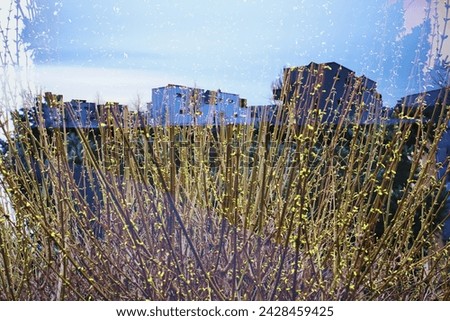 architecture and fantasy, fantasy photo, plants and architecture, silhouettes of houses, outlines of buildings, texture, wall texture, stone wall, soil wall Royalty-Free Stock Photo #2428459425