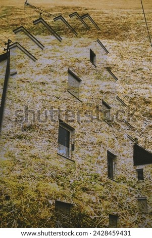 architecture and fantasy, fantasy photo, plants and architecture, silhouettes of houses, outlines of buildings, texture, wall texture, stone wall, soil wall Royalty-Free Stock Photo #2428459431