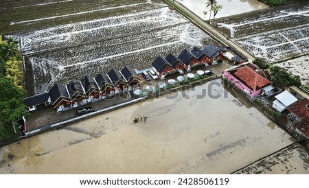 house in the middle of rice field Royalty-Free Stock Photo #2428506119