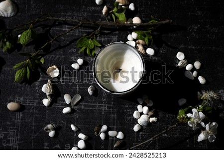 Flatlay, candle branch with green leaves and seashells on black background top view