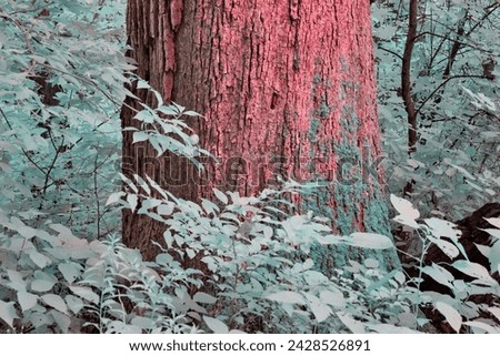 Surreal Forest in Infrared, Robust Tree with Cyan Foliage