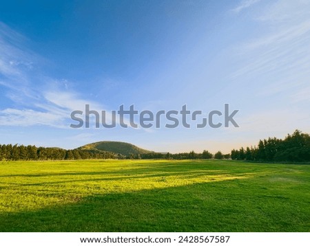 A view of a green lawn. Behind the wide lawn, you can see trees that make up the forest and a mountain range.