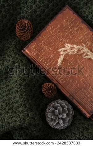 Old book, dried flowers, cones. Gloomy interior. Gothic accessories.