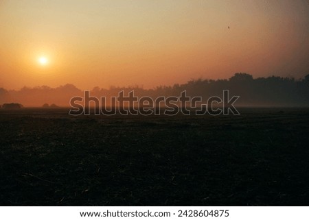 The villages of Bangladesh are covered in fog on winter mornings.The sun is coming up.