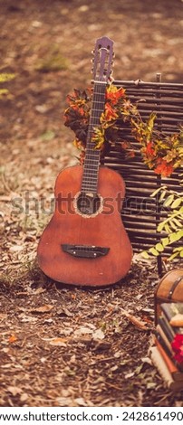 In a garden beautiful pic of Guitar 🎸