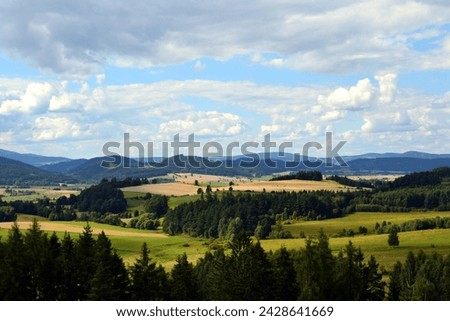 View point near the border of Poland and Czech Republic on  the Karkonosze Mountains - mountain chain of Sudeten Mountains (Sudetes). Summer landscape
