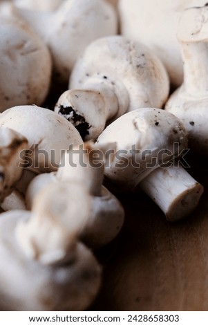 white whole champignons close-up on a wooden board. close-up of porcini mushrooms