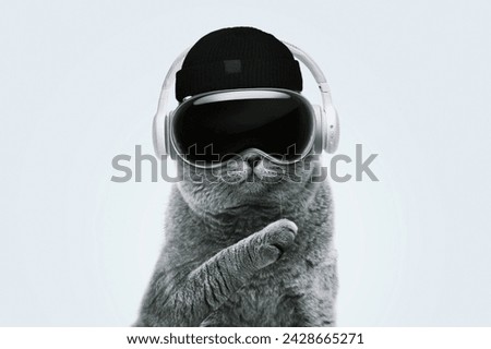 Beautiful funny hipster cat with virtual reality glasses, knitted fashion hat and headphones stands and using revolutionary technology on a blue pastel background. Modern gadget and pet, creative idea
