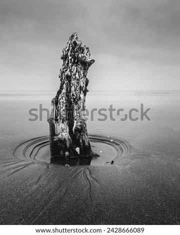 Fine art photography of sea stack on the beach (Black and white)