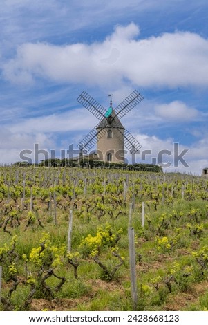 Windmill (Moulin a vent de Romaneche-Thorins), Chenas, Beaujolais, Saone-et-Loire, Bourgogne-Franche-Comte, France Royalty-Free Stock Photo #2428668123