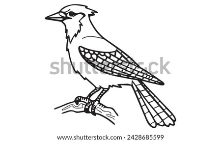 Blue Jay bird coloring page for kids