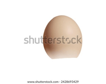 Egg sitting on White Background 