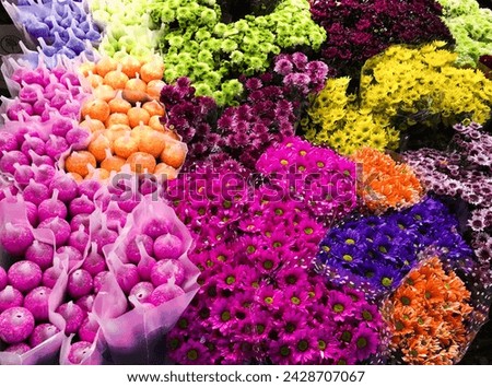 Many different colorful beautiful gerbera flowers as background