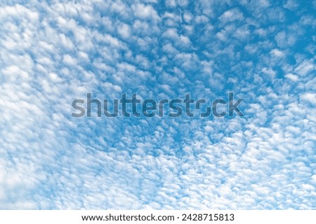 Ornamental clouds. Natural patterns. Texture, background, graphic resources, design, copy space. Meteorology, heaven, hope, peace concept. Soft daylight 
