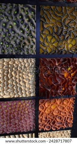 A wall of different colourful corals in the aquarium, Genova.