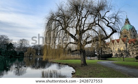 Hanover Maschpark new town hall with beautiful tree reflection in the lake water. High quality photo